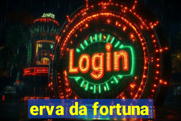 erva da fortuna