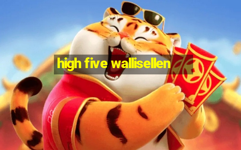 high five wallisellen