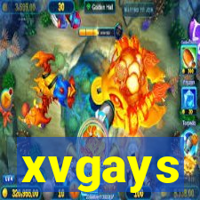 xvgays