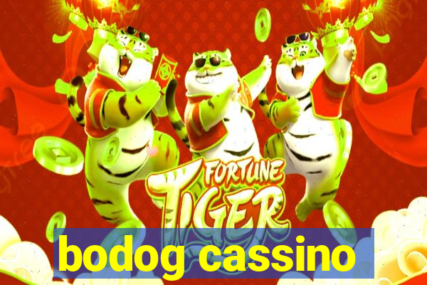 bodog cassino