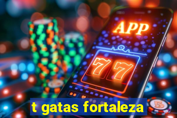 t gatas fortaleza