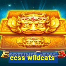 ccss wildcats