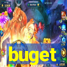 buget