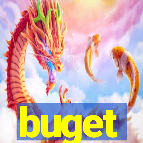 buget