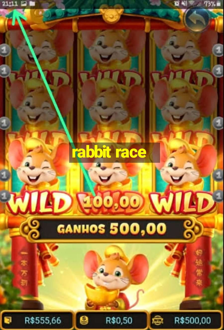 rabbit race