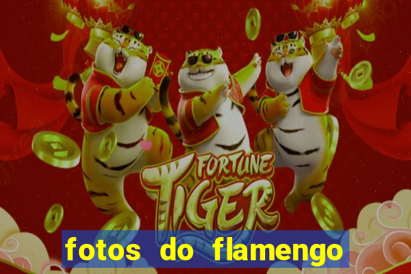 fotos do flamengo para perfil