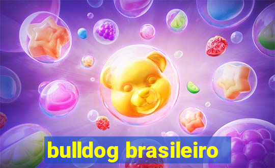 bulldog brasileiro