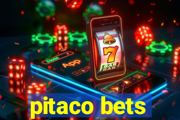 pitaco bets