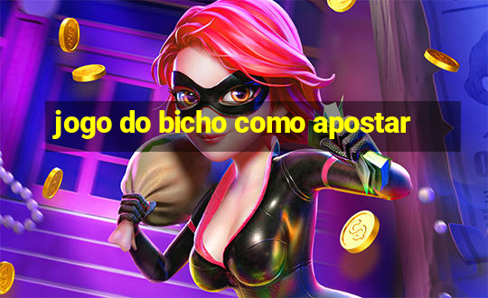 jogo do bicho como apostar