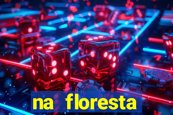 na floresta encantada meme