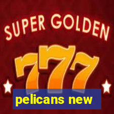 pelicans new