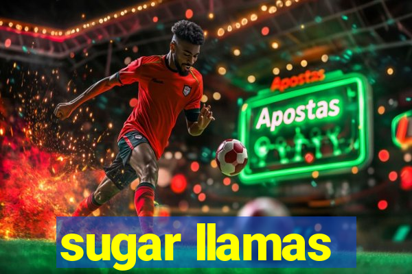 sugar llamas