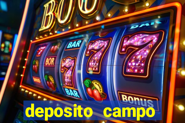 deposito campo grande santos