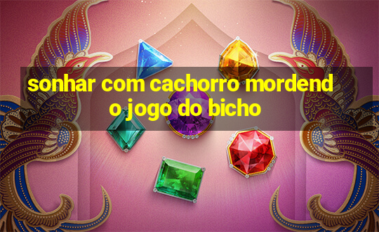 sonhar com cachorro mordendo jogo do bicho