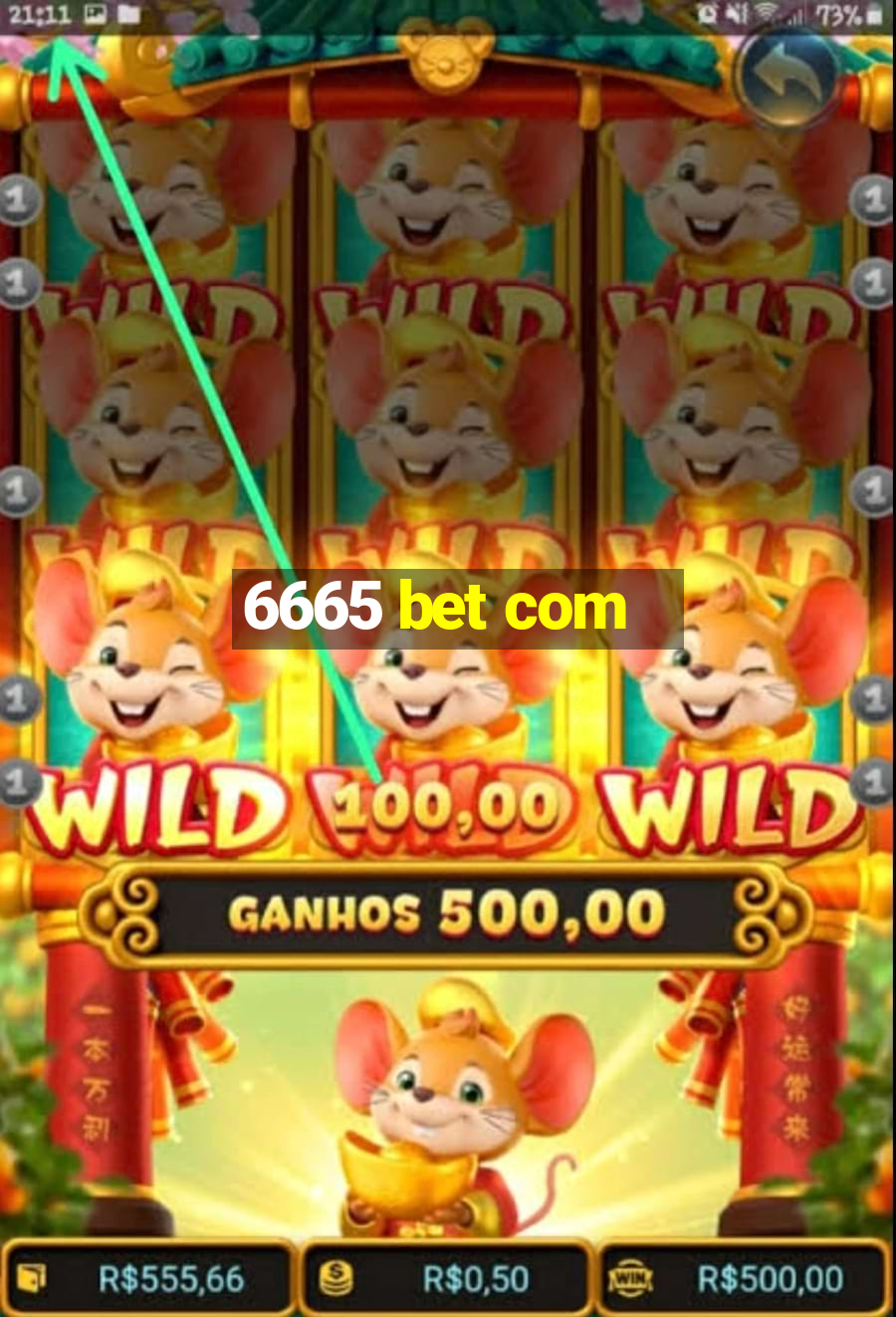 6665 bet com