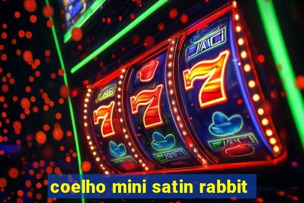 coelho mini satin rabbit