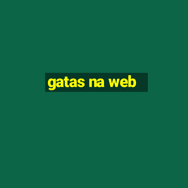 gatas na web