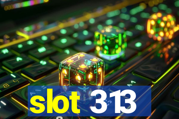 slot 313