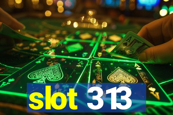 slot 313