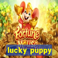 lucky puppy