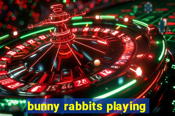 bunny rabbits playing