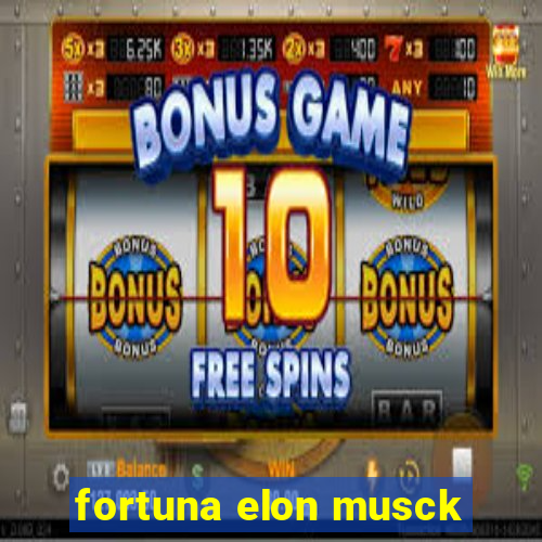 fortuna elon musck