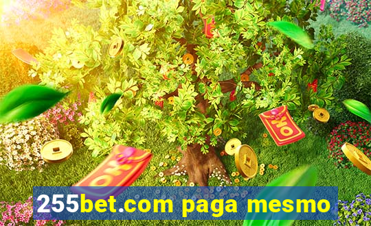 255bet.com paga mesmo