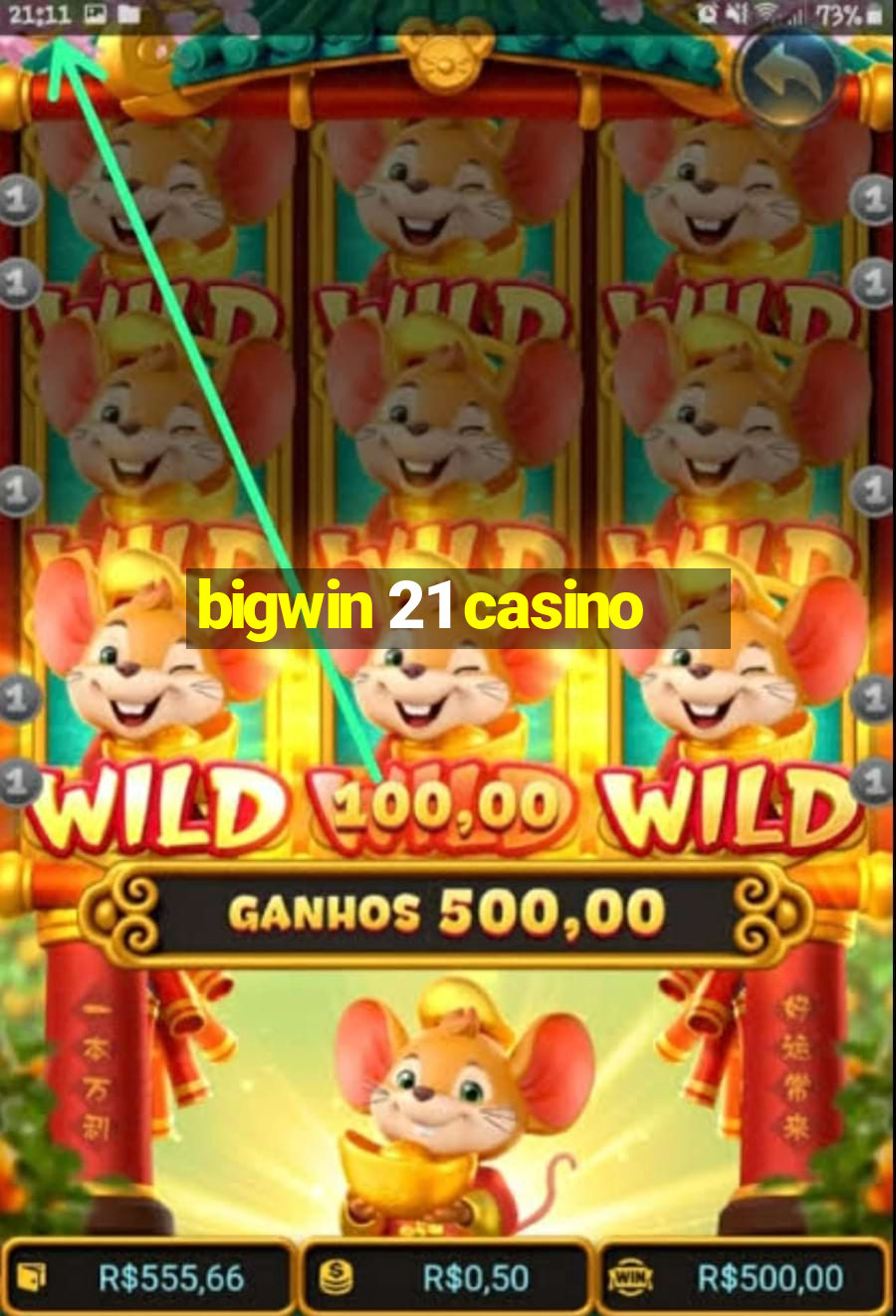 bigwin 21 casino