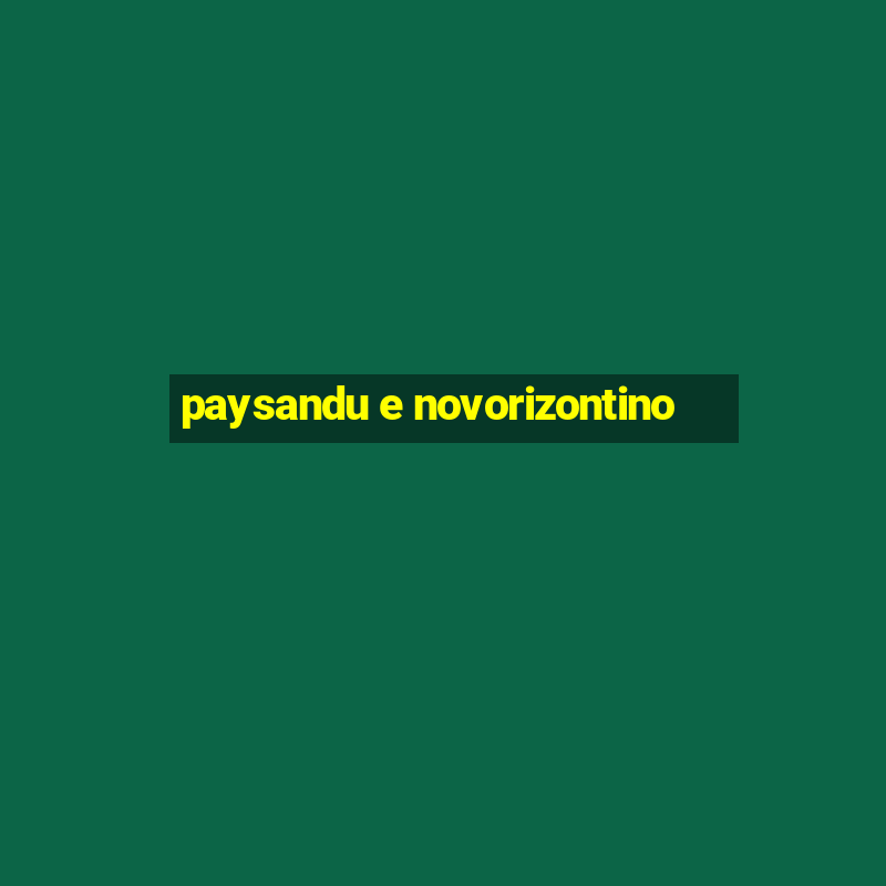 paysandu e novorizontino