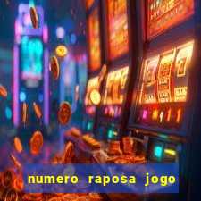 numero raposa jogo do bicho