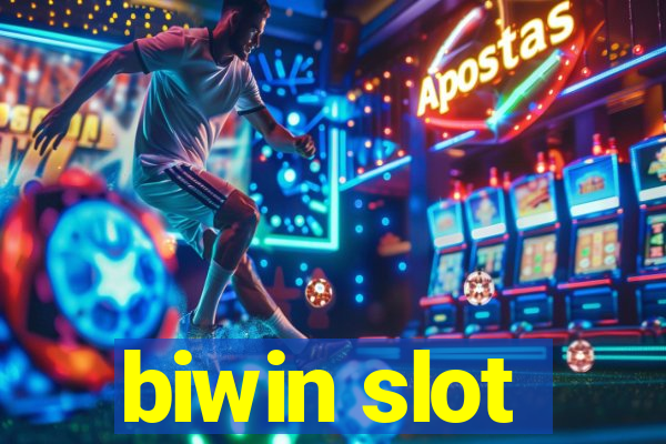 biwin slot