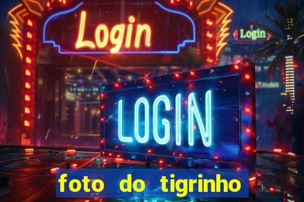 foto do tigrinho do jogo