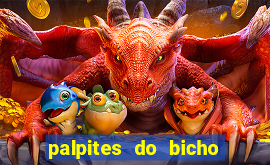 palpites do bicho no celular