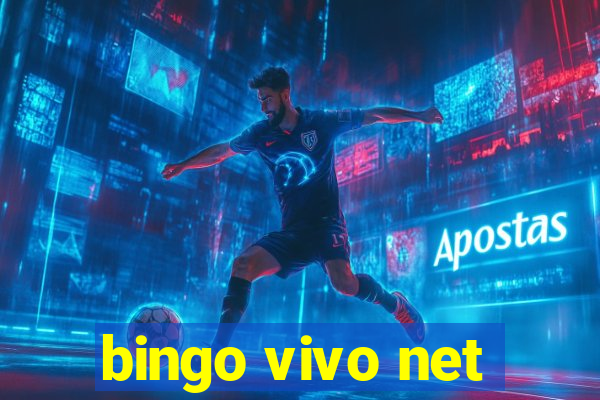 bingo vivo net