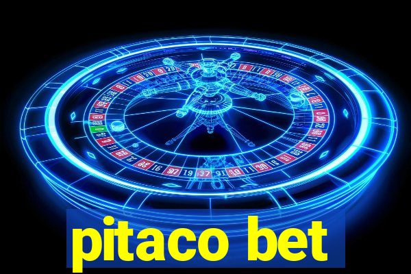 pitaco bet