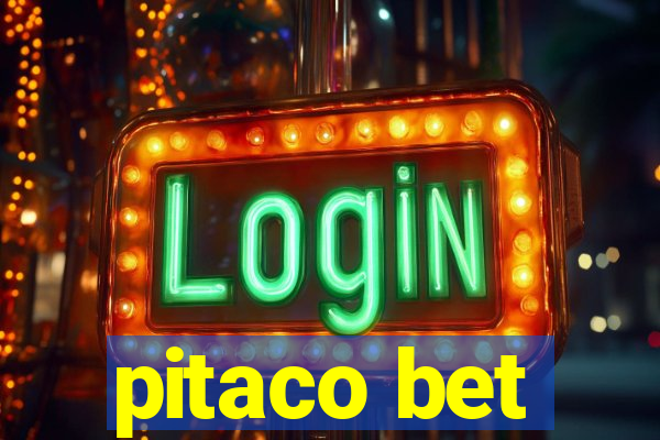 pitaco bet