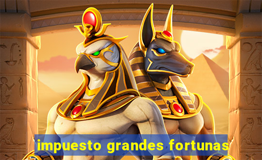 impuesto grandes fortunas