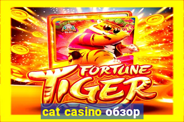 cat casino обзор