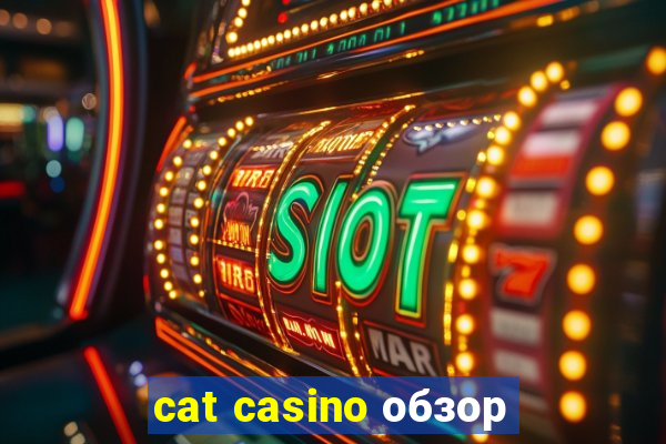 cat casino обзор