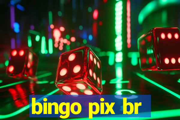 bingo pix br