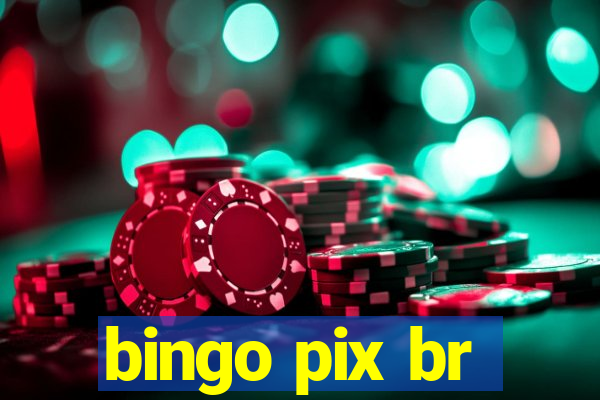 bingo pix br