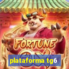 plataforma tg6