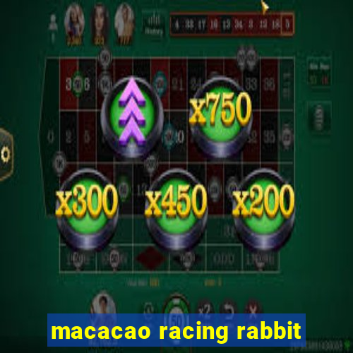 macacao racing rabbit