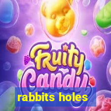 rabbits holes