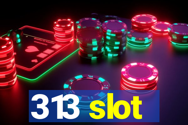 313 slot