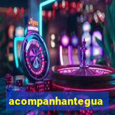 acompanhanteguanambi