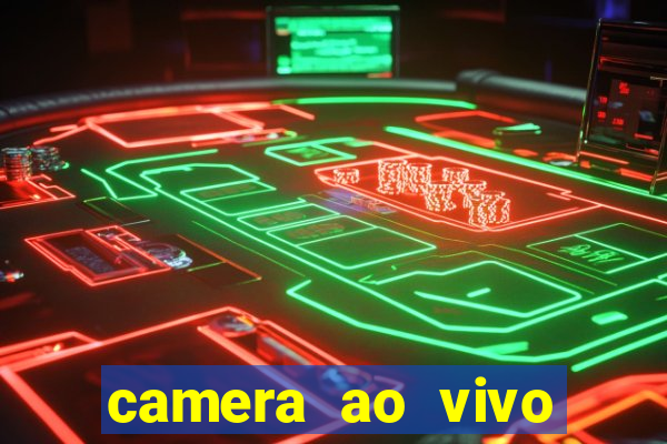 camera ao vivo terminal vila nova cachoeirinha