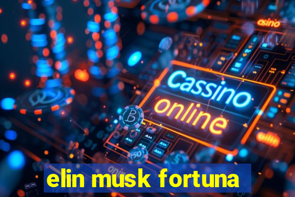 elin musk fortuna