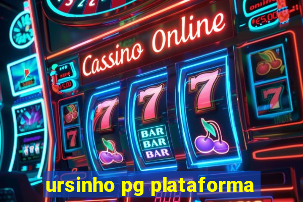 ursinho pg plataforma