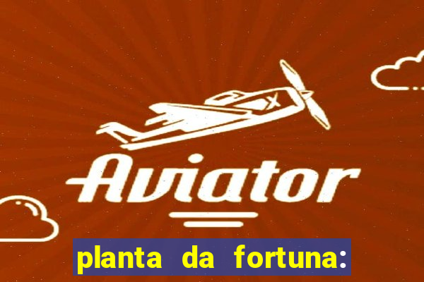 planta da fortuna: como cuidar